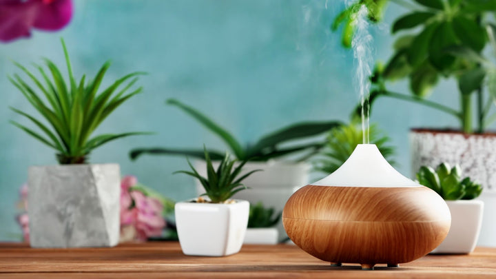 4 Factors To Consider When Choosing an Aroma Diffuser