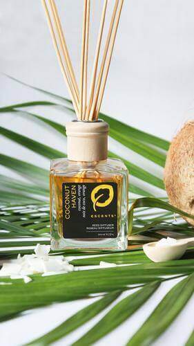 Spring Clean The Air Reed Diffuser Coconut Haven