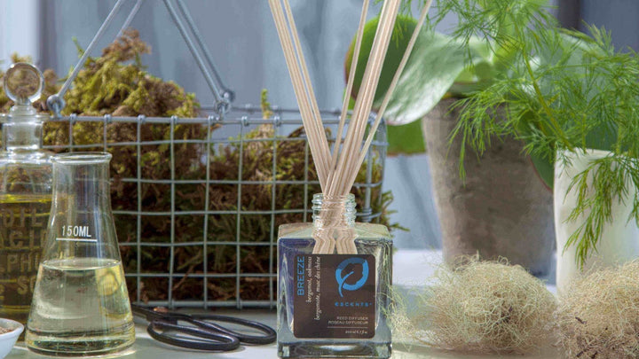 5 Tips To Make the Most Out of Your Reed Diffusers