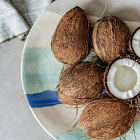 escents coconut essential oil