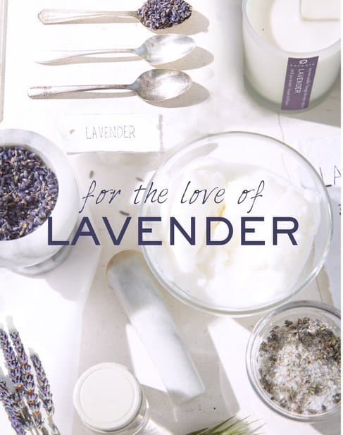 Lavender Body Mist Bundle - Escents