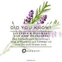 Organic Lavender - Premium ESSENTIAL OIL from Escents Aromatherapy Canada Canada - !