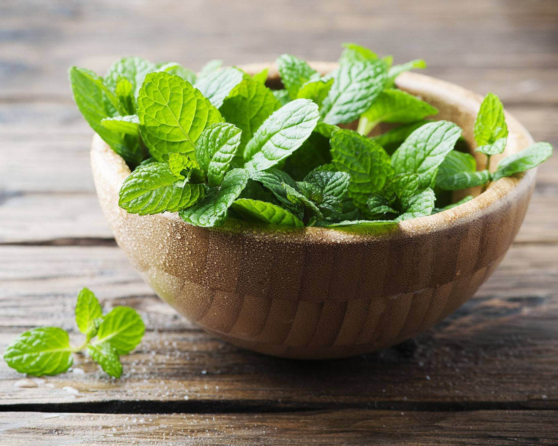 Roll-On Muscle Relief - Escents