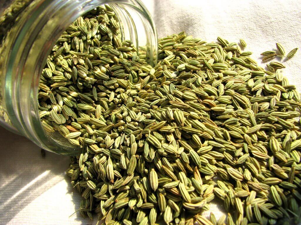 escents aniseed essential oil