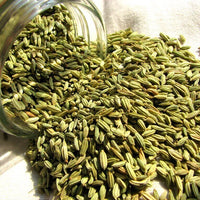 escents aniseed essential oil