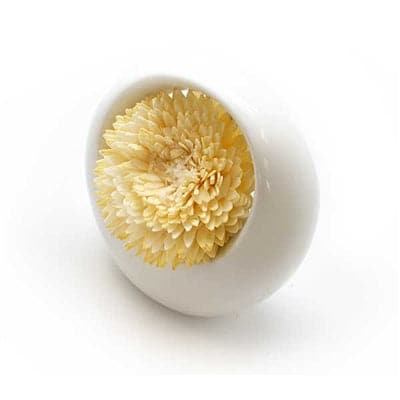 Eco Sola Diffuser Escents Premium DIFFUSER from Relaxus Escents  !