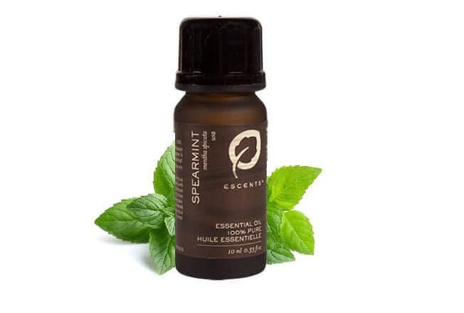 Spearmint - Premium ESSENTIAL OIL from Escents Aromatherapy -  !