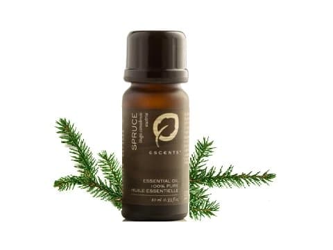 Spruce - Premium ESSENTIAL OIL from Escents Aromatherapy Canada -  !