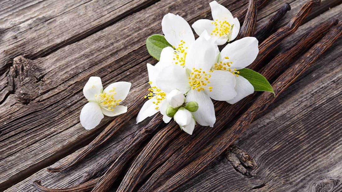 Tahitian Vanilla - Premium Aroma at Home, AROMA BLEND from Escents Aromatherapy Canada -  !