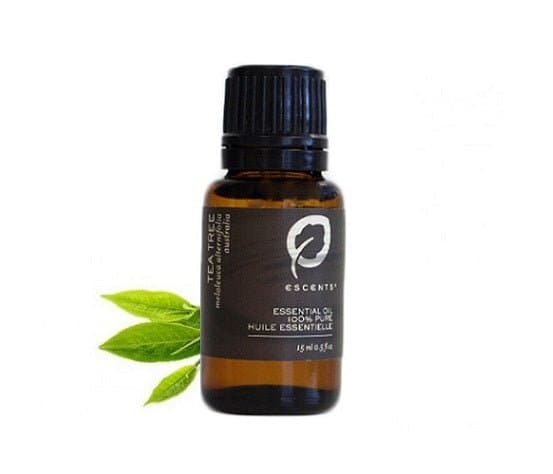 Tea Tree - Premium ESSENTIAL OIL from Escents Aromatherapy Canada -  !