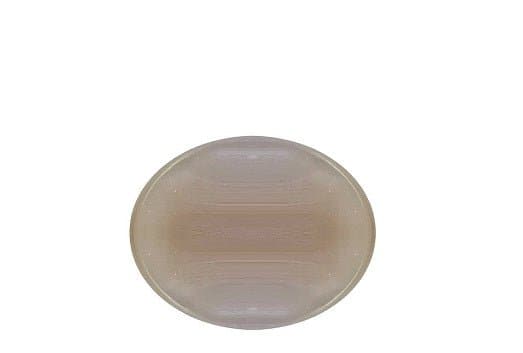 Vitalize Shampoo Bar - Premium Bath & Body, Hair Care, Shampoo from Escents Aromatherapy Canada -  !