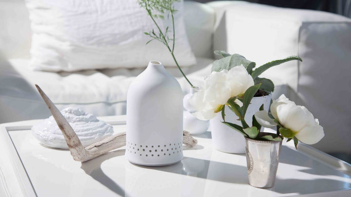 Aroma Diffusers vs. Humidifiers: Which Is Best for You?