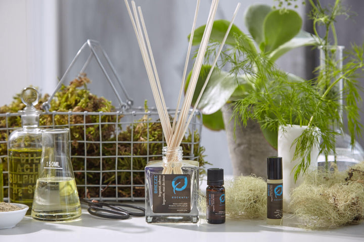 Back to School Escents Aromatherapy