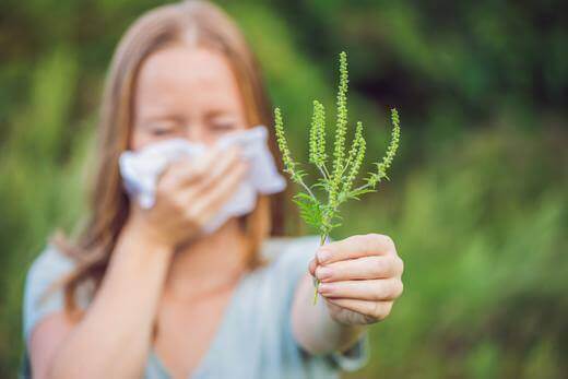 Escents 3 Tips For Allergy Sufferers!