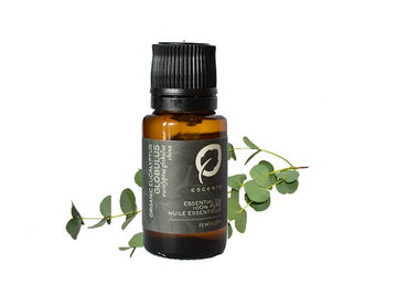 100% pure Organic Eucalyptus Globulus essential oil Escents Aromatherapy