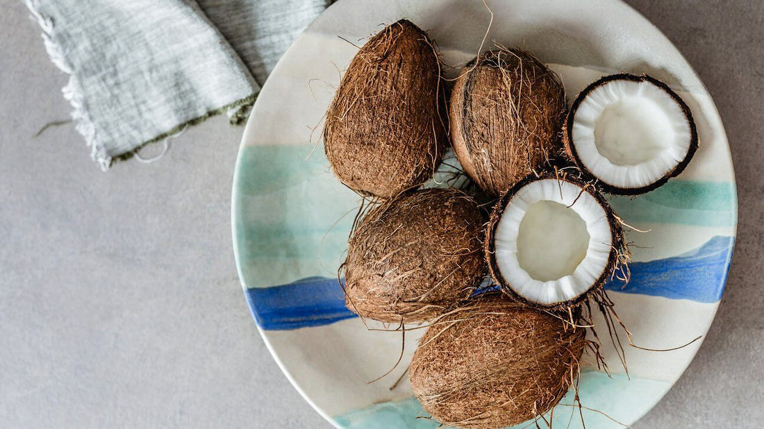 escents coconut essential oil 