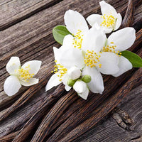 Tahitian Vanilla - Premium Aroma at Home, AROMA BLEND from Escents Aromatherapy Canada -  !   